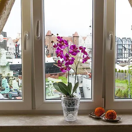 Apartament Olowianka- Apartment