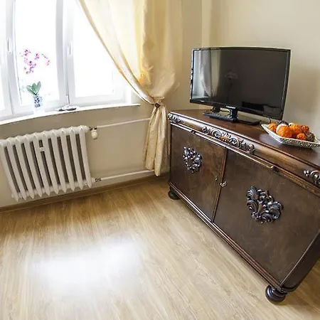 Apartment Apartament Olowianka- *